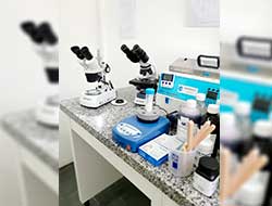 Análise Microbiológica no litoral Análise Microbiológica no litoral